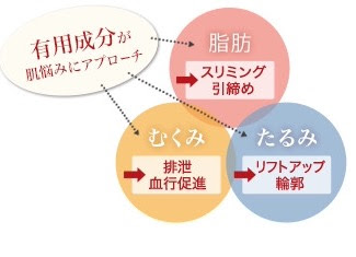 小田原 小顔 リフトアップ たるみ予防